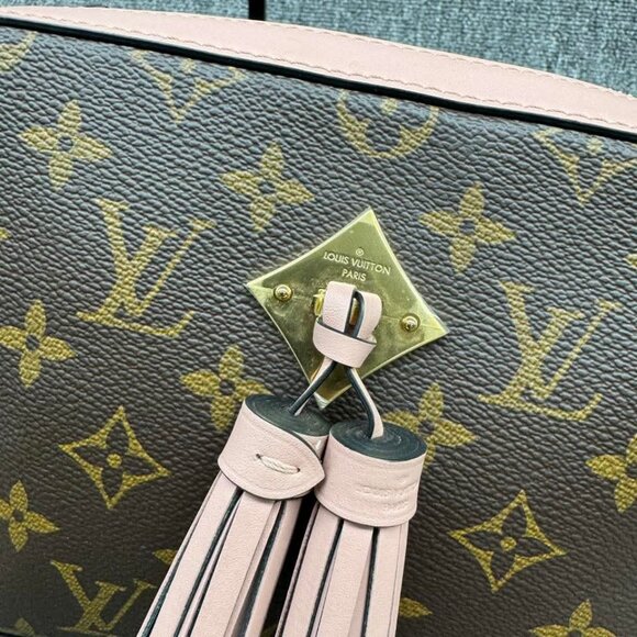 Louis Vuitton Saintonage Monogram Crossbody Bag fbcco1050-102125 - Picture 5 of 15